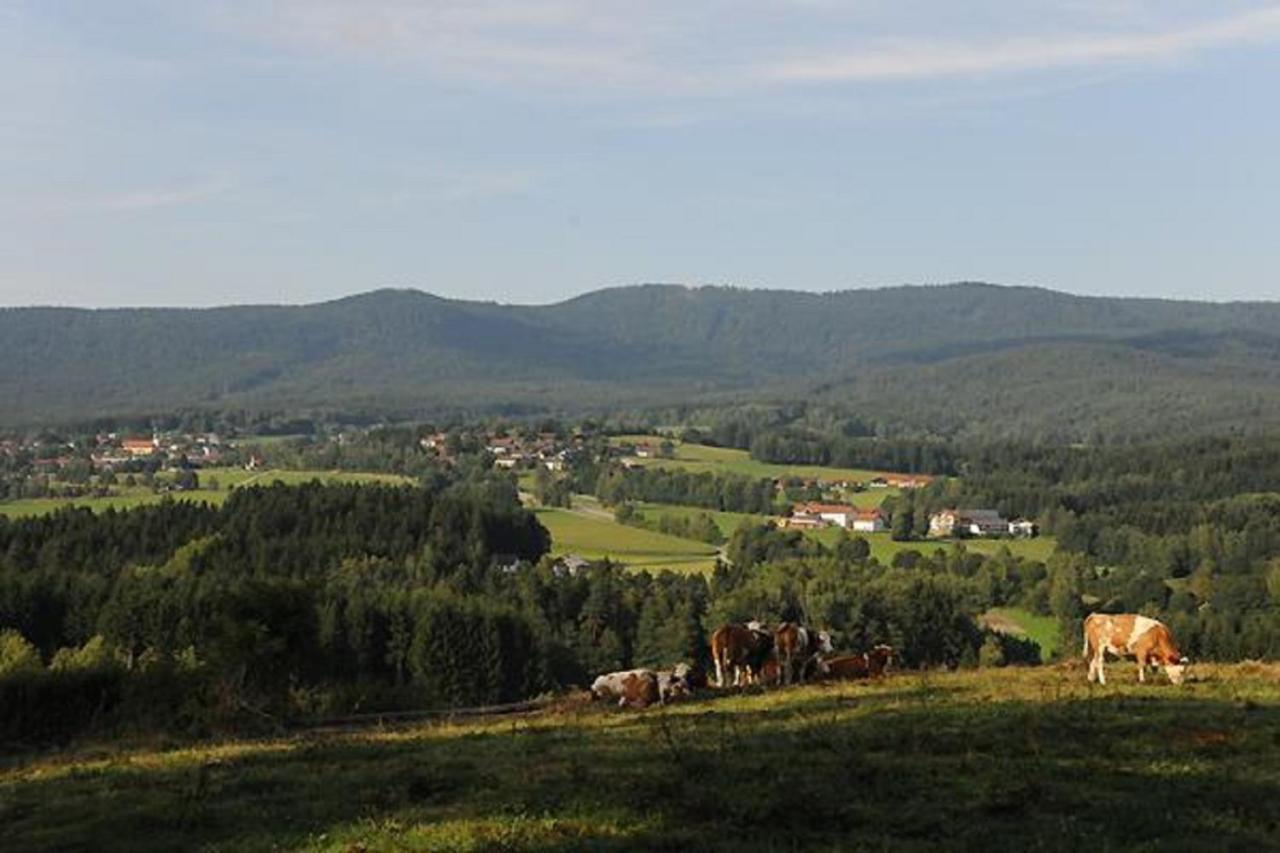 Exenbacher Hof Arnbruck Kültér fotó