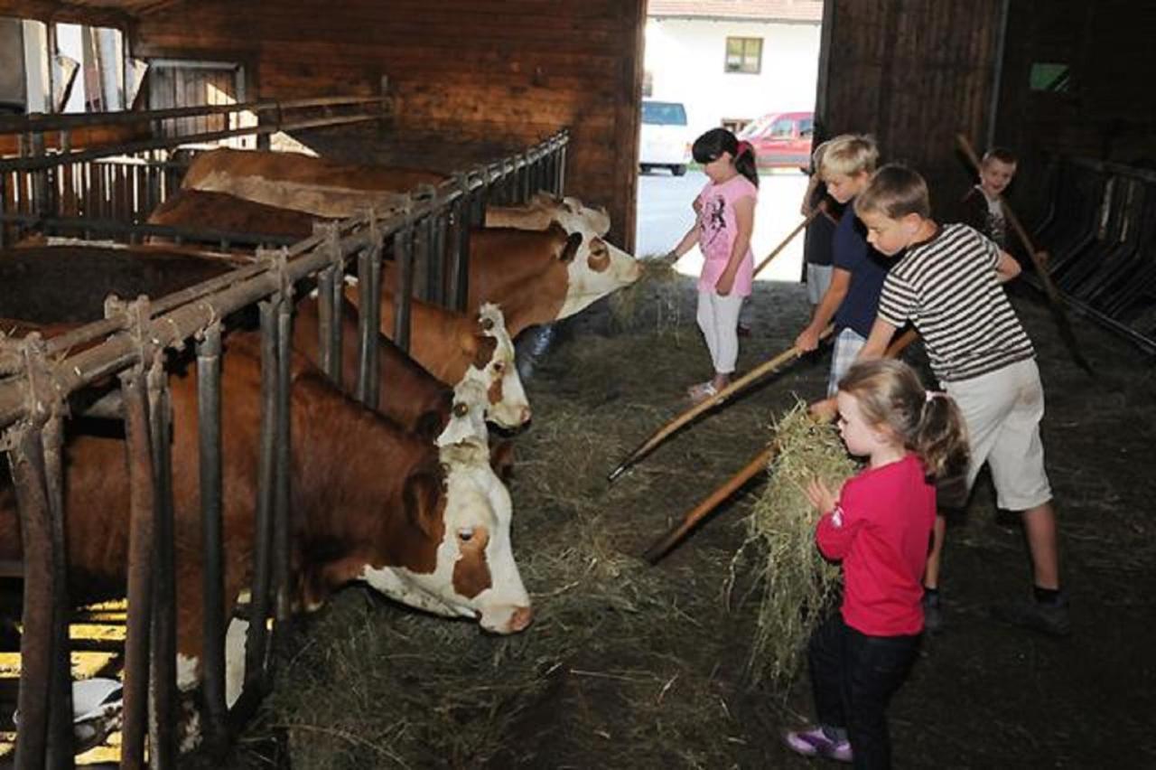 Exenbacher Hof Arnbruck Kültér fotó